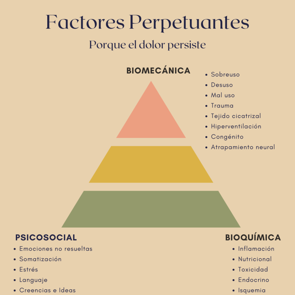 Gráfica de pirámide que destaca los factores perpetuantes del dolor, incluyendo la biomecánica, la bioquímica y los aspectos psicosociales, ilustrando cómo estos elementos interactúan para afectar la experiencia del dolor.